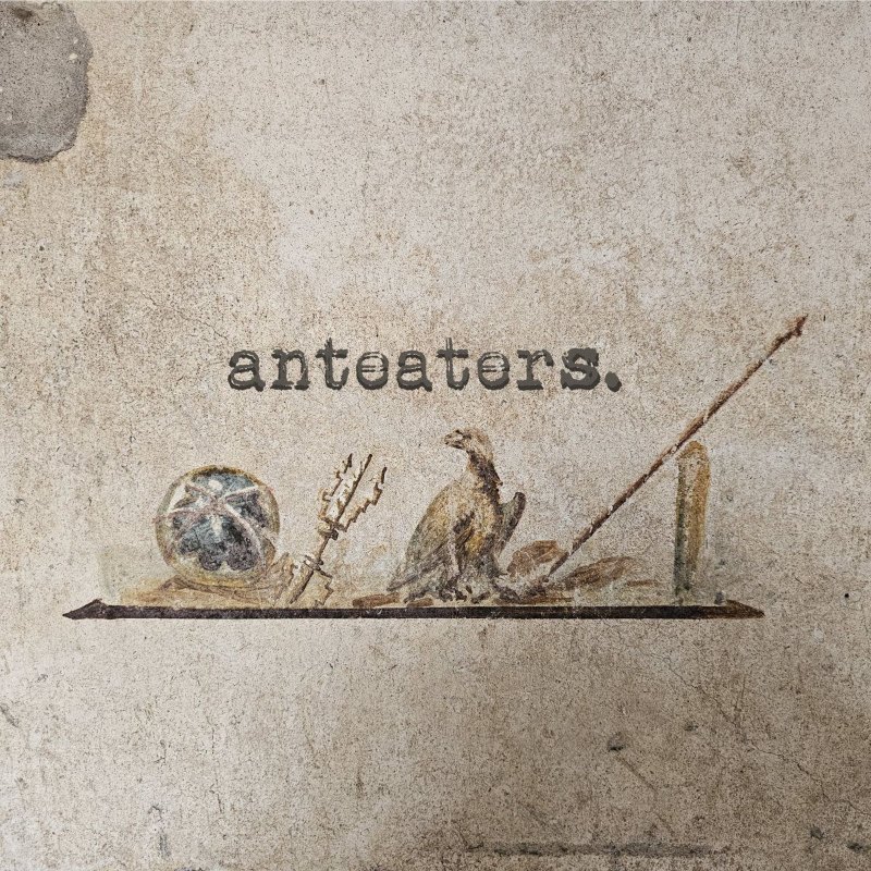 Anteaters