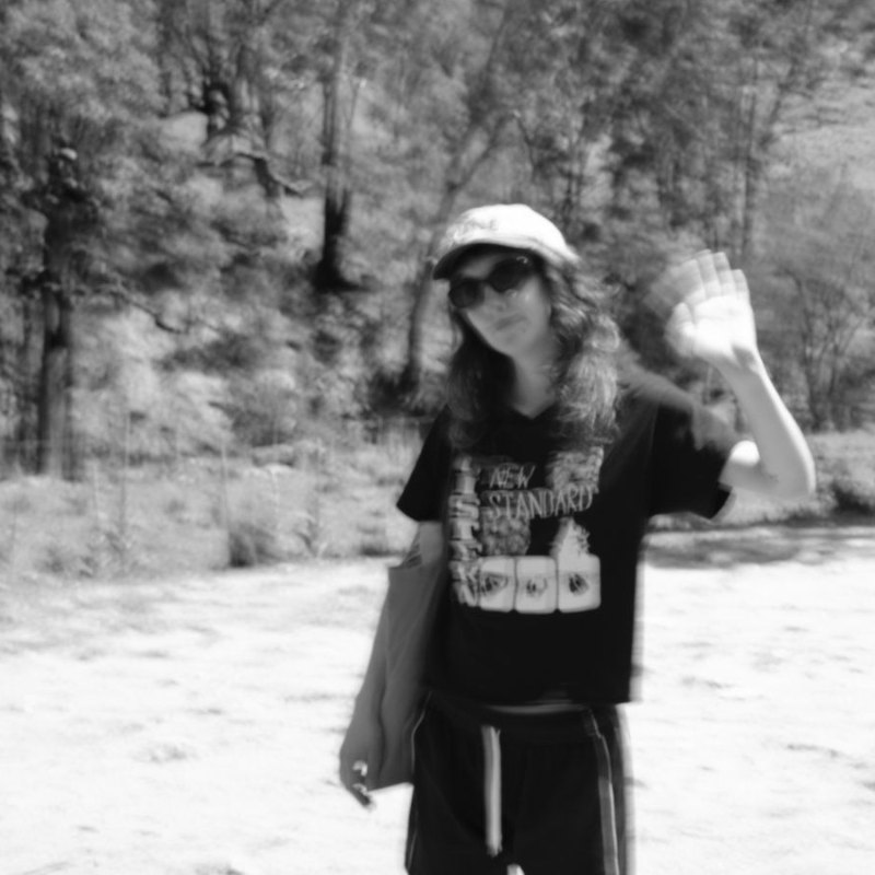 Nimpy