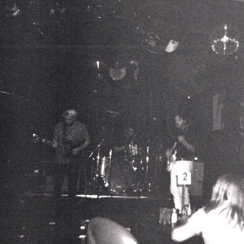 The Wild Onion