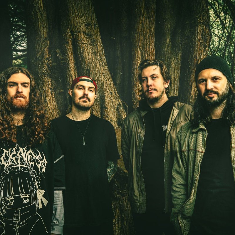 Treebeard